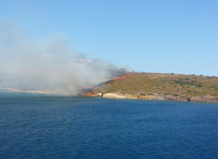 Ayvalık Maden Adasında Orman Yangını