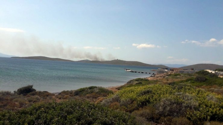 Ayvalık Maden Adasında Orman Yangını