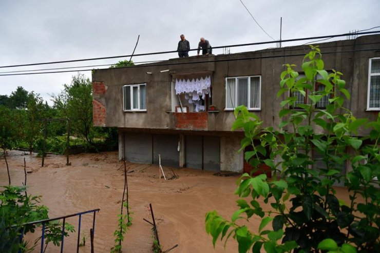 Afad Başkanı Güllüoğlu, Sel Bölgesinde