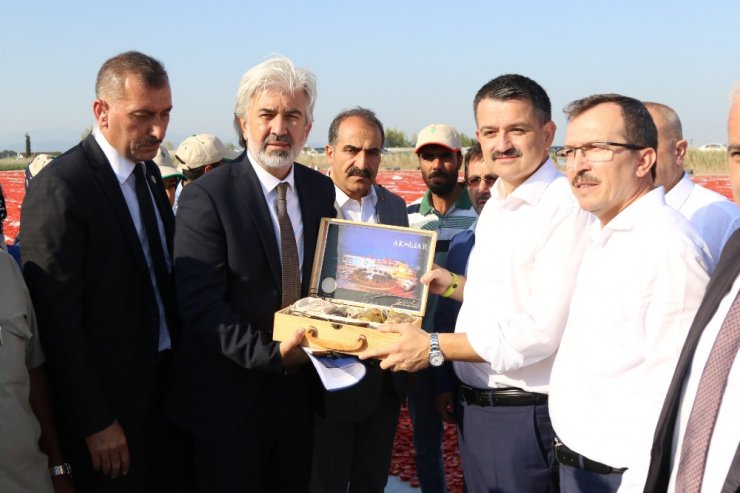 Bakan Pakdemirli Tarlaya İndi, Traktör Kullandı