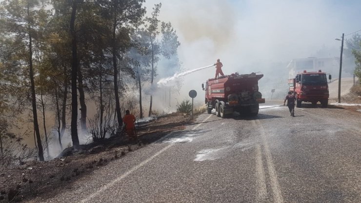 Antalya’da Orman Yangını