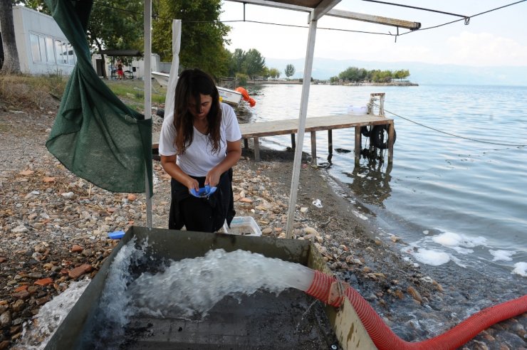 Gölün Dibinde Yatan 100 Yılın Keşfi