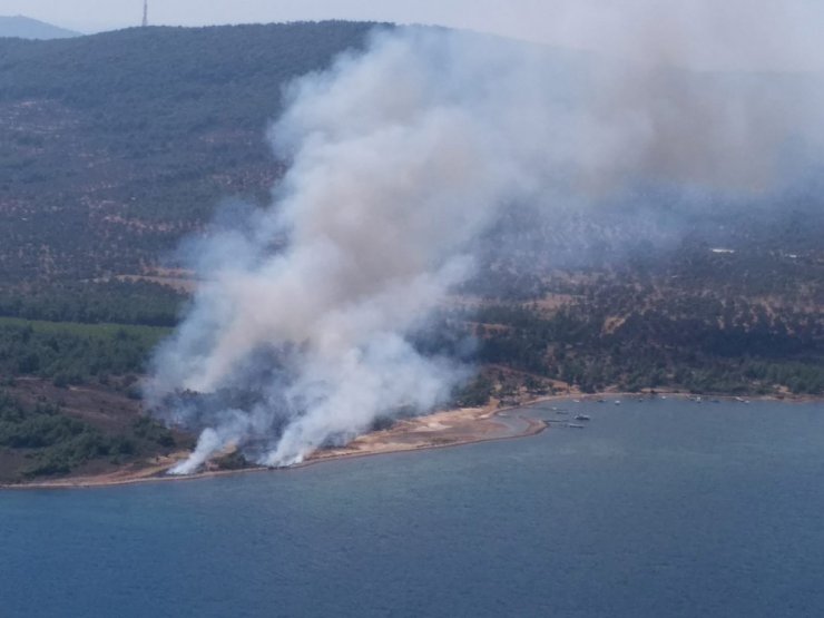 Cunda Adasında Orman Yangını