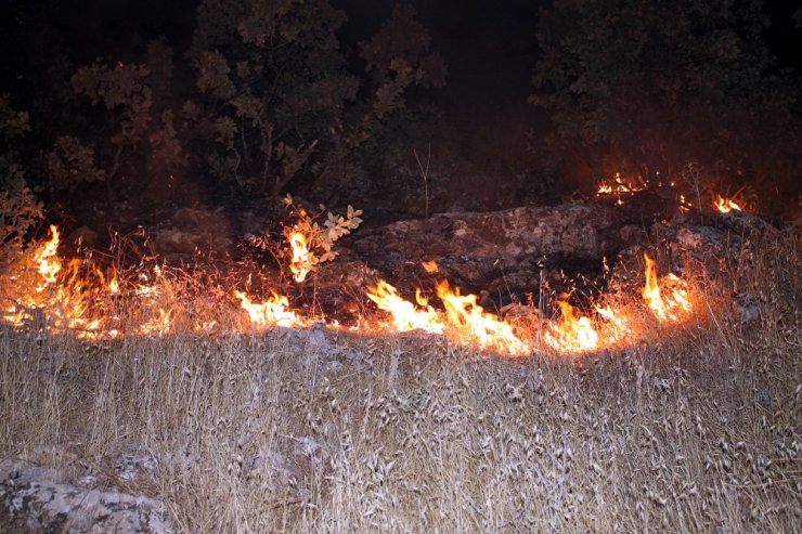 Midyat’ta Korkutan Orman Yangını