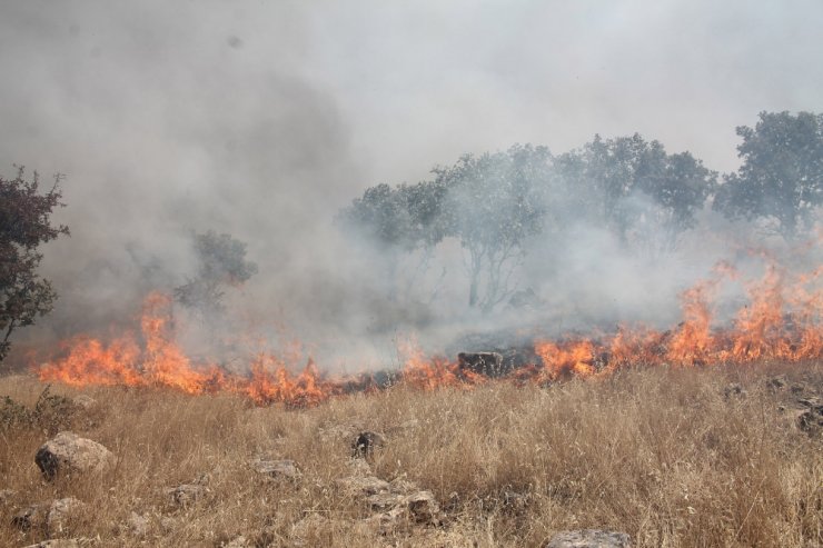 Midyat’ta Ormanlık Alanda Çıkan Yangın Sürüyor