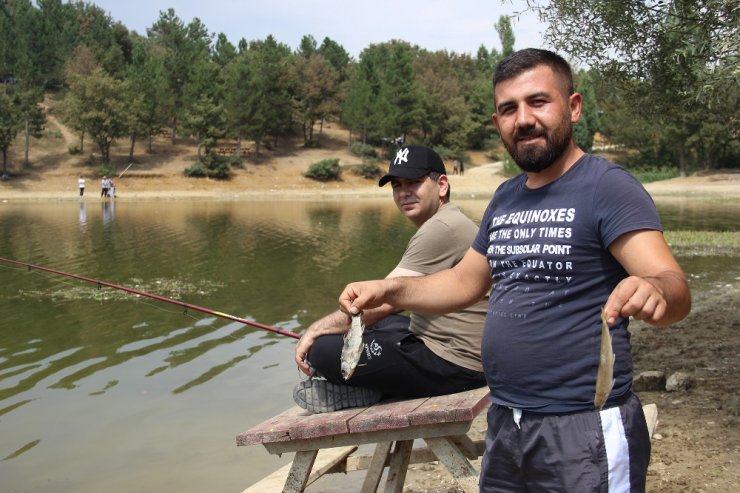 Kütahya’da Esrarengiz Balık Ölümleri