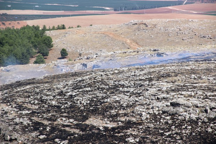 Göbeklitepe Yakınındaki Yangın Kontrol Altında