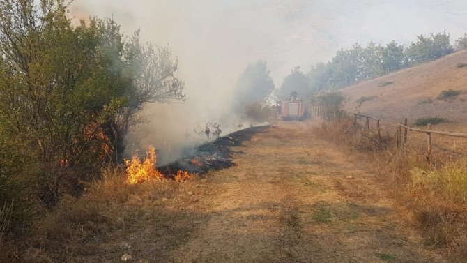 Gümüşhane’deki Örtü Yangını Kontrol Altına Alındı