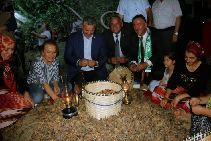 Fındığın Başkentinde Fındık Festivali
