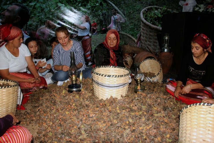Fındığın Başkentinde Fındık Festivali