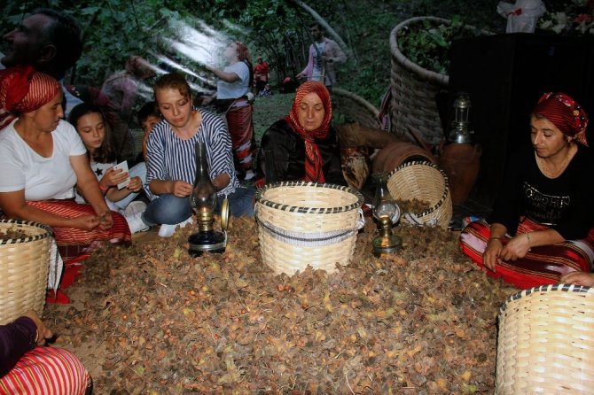 Fındığın Başkenti Giresun’da Fındık Festivali Düzenlendi