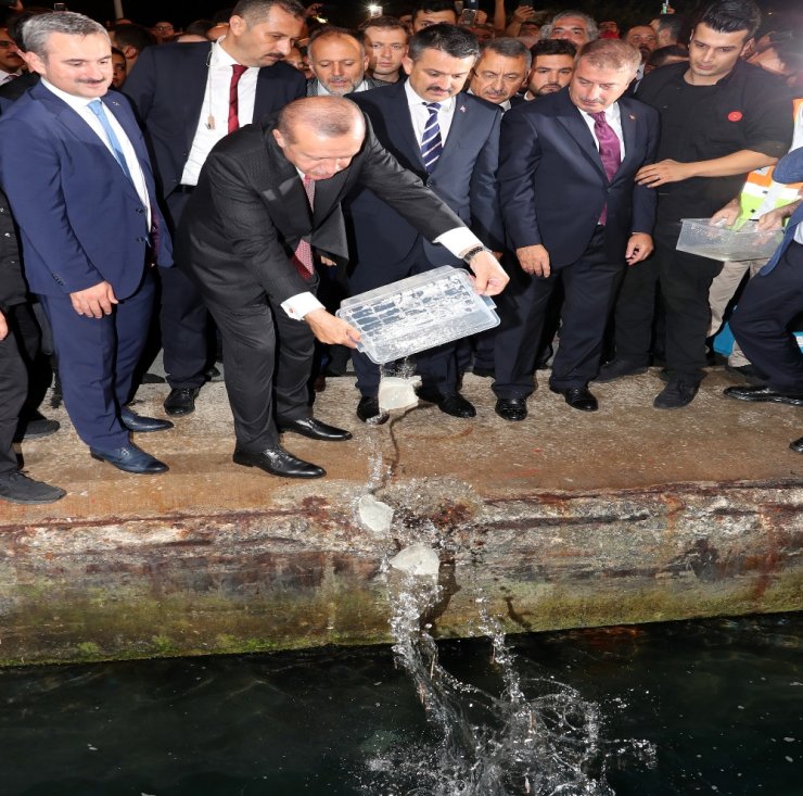 Cumhurbaşkanı Erdoğan ‘Vira Bismillah’ Dedi