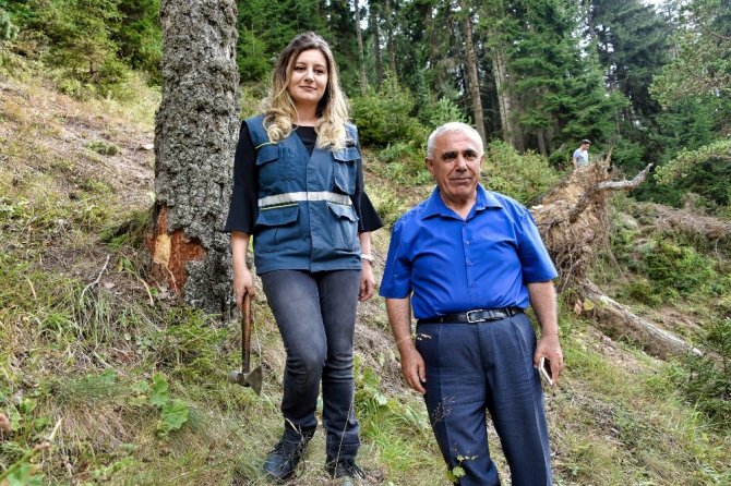 Zigana’nın Ormanları Ondan Soruluyor