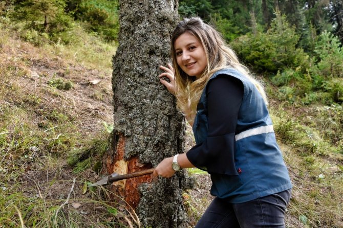 Zigana’nın Ormanları Ondan Soruluyor