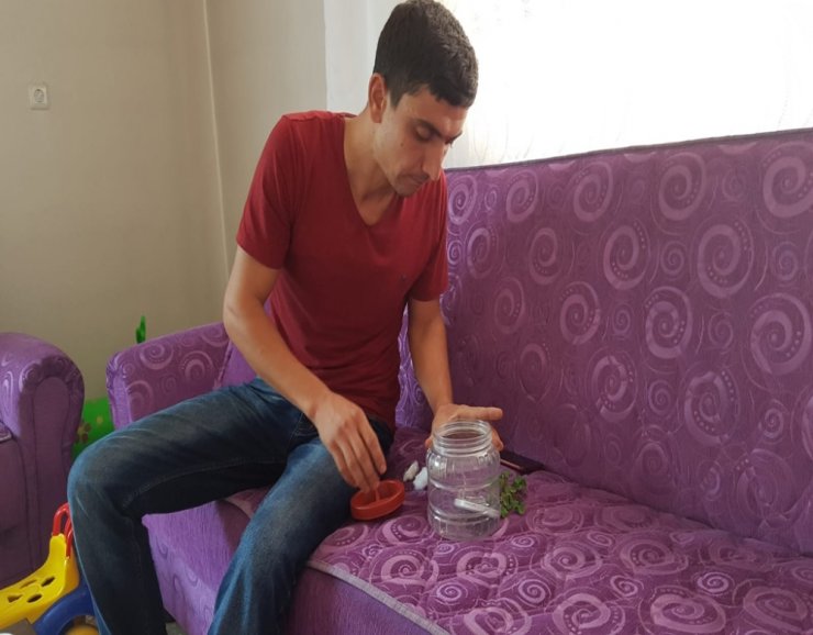’İnsan Yüzlü Örümcek’ Paniği