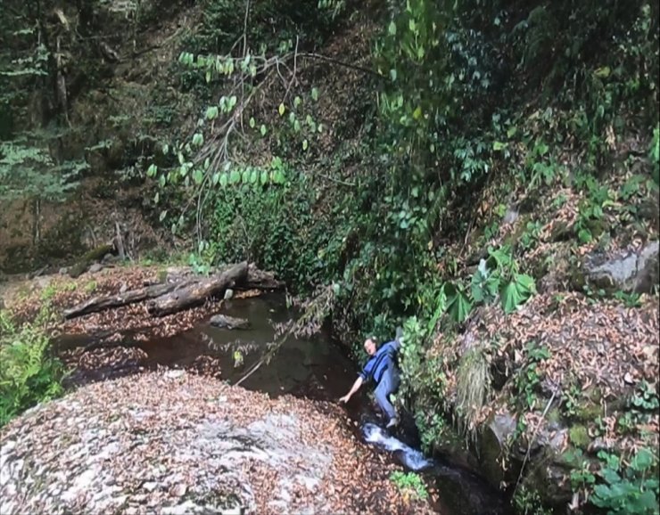 Tarzan’a Özendi Ama Finalde Suya Düştü