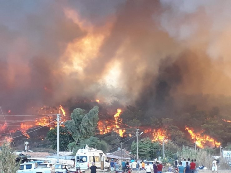 Yangının Dehşeti Fotoğraflara Yansıdı