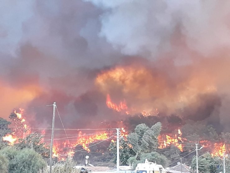 Yangının Dehşeti Fotoğraflara Yansıdı