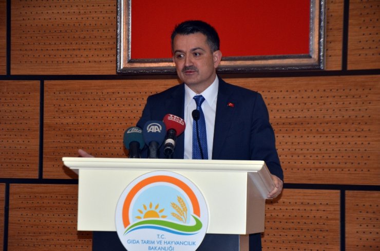 Bakan Pakdemirli Zeytin Rekoltesini Açıkladı