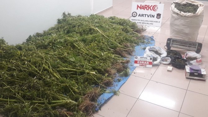 Artvin’de Uyuşturucu Operasyonu