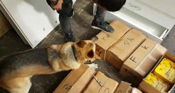 Bal Tenekelerinden 176 Kilo Eroin Çıktı