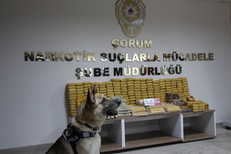 Bal Tenekelerinden 176 Kilo Eroin Çıktı