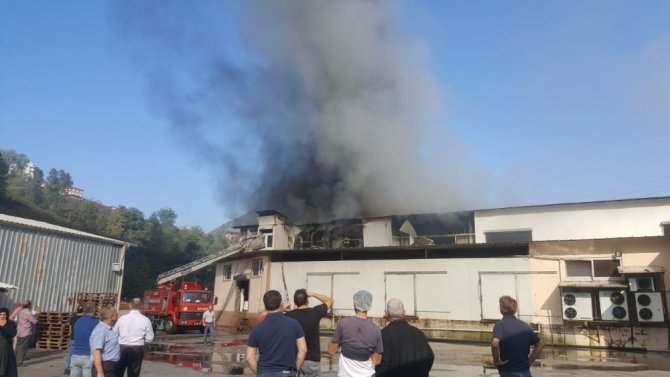 Trabzon’da Süt Ürünleri İmalatı Yapan Bir Fabrikada Yangın Çıktı