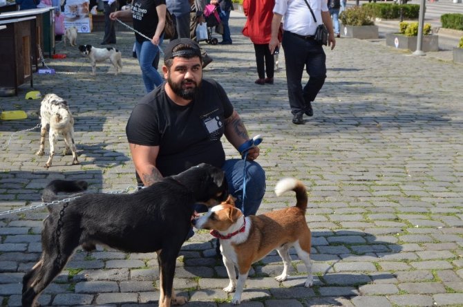 Trabzon’da 4 Ekim Dünya Hayvanları Koruma Günü Etkinliği Düzenlendi