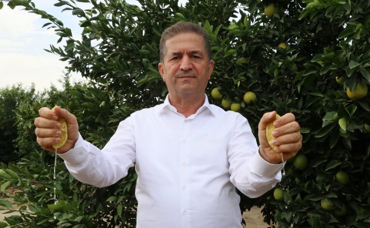 Erkenci Portakal Hasadı Başladı