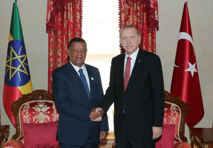 Erdoğan Etiyopyalı Mevkidaşıyla Bir Araya Geldi