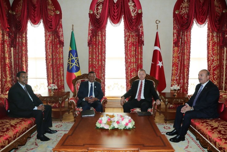 Erdoğan Etiyopyalı Mevkidaşıyla Bir Araya Geldi