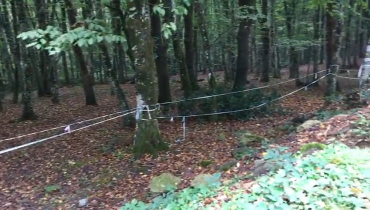 Polis Cemal Kaşıkçı’nın İzini Belgrad Ormanı’nda Arıyor