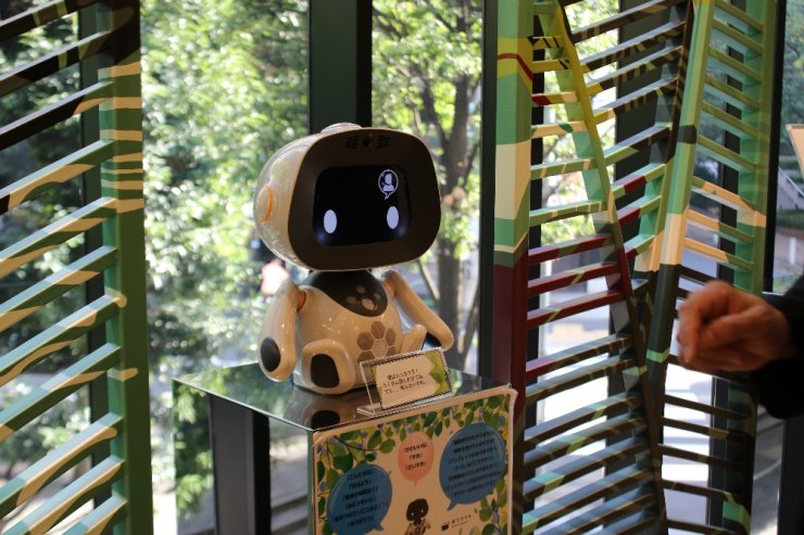 Dünyada İlk: Bu Otelde Robotlar Çalışıyor