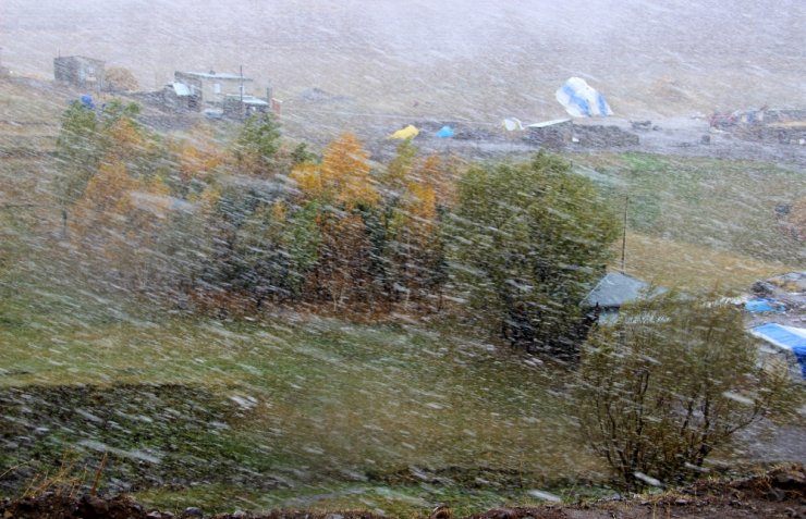 Erzurum’da Lapa Lapa Kar Ve Tipi