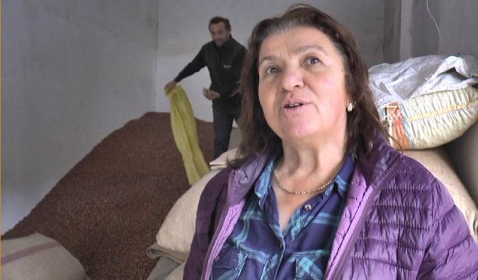 Giresunlu Fındık Üreticileri Cumhurbaşkanı Erdoğan’ın Açıkladığı Fındık Fiyatını Değerlendirdi