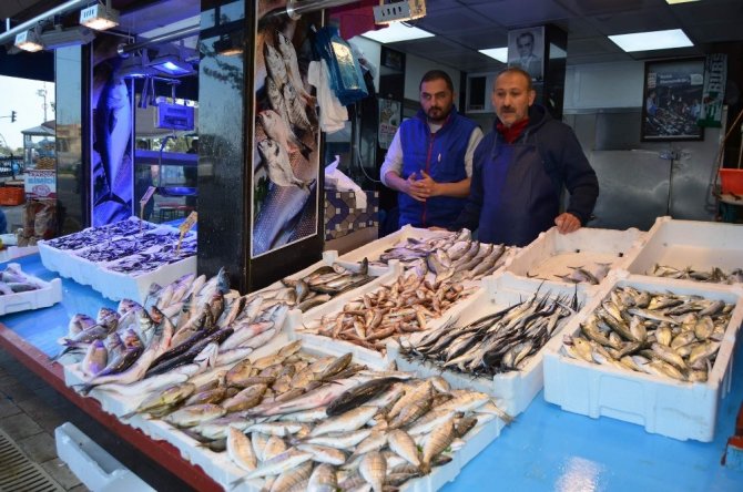 Palamut Tezgahlardan Çekiliyor