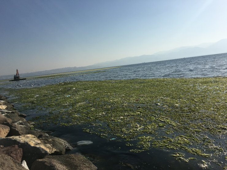İzmir Körfezi’nde Temizleme Çalışmaları Sürüyor