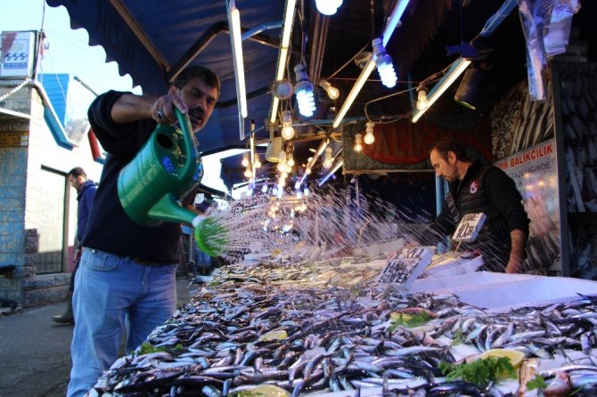 Yerli Hamsi Tezgahlardaki Yerini Aldı