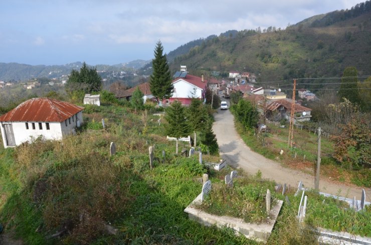 Fıkra Gibi Mahalle