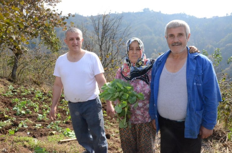 Fıkra Gibi Mahalle