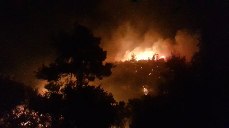 Antalya’da Orman Yangını: 4 Mahalle Tehdit Altında