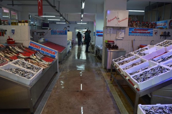 Hamsinin Fiyatı Borsa Gibi Bir İniyor Bir Çıkıyor