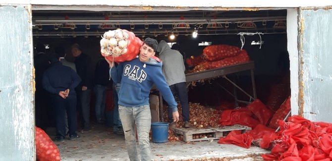 Depolara Baskın Yapıldı, Soğan Fiyatları 30 Kuruş Düştü