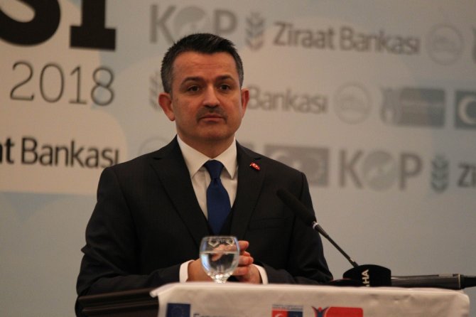 "15 Yılda Erozyonla Mücadelede Dünya Lideriyiz"