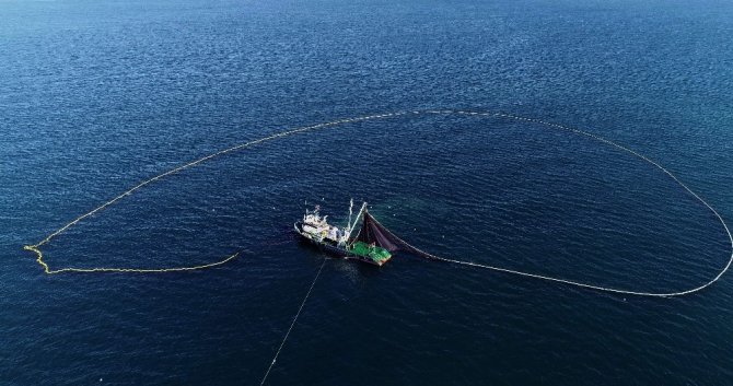Doğu Karadenizli Balıkçılar Hamsiyi Batı Karadeniz’de Arıyor