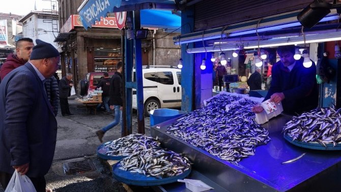 Vatandaş Hamsinin Tekrar Ucuzlamasını Bekliyor