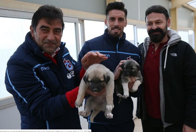 Karaman Ve Sosa, Kangal Çiftliğini Ziyaret Etti