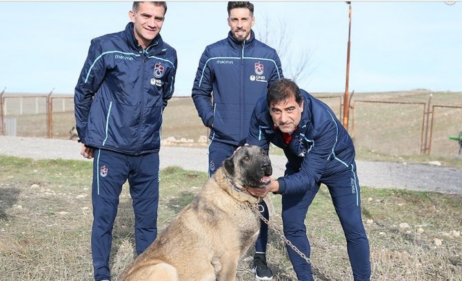 Karaman Ve Sosa, Kangal Çiftliğini Ziyaret Etti