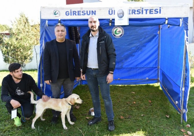Giresun’da ’Strese Karşı Patiler’ Etkinliği