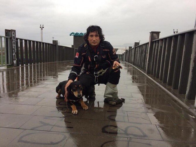 Afad Ekipleri Bu Kez Dere Sularına Kapılan Köpeği Kurtardı